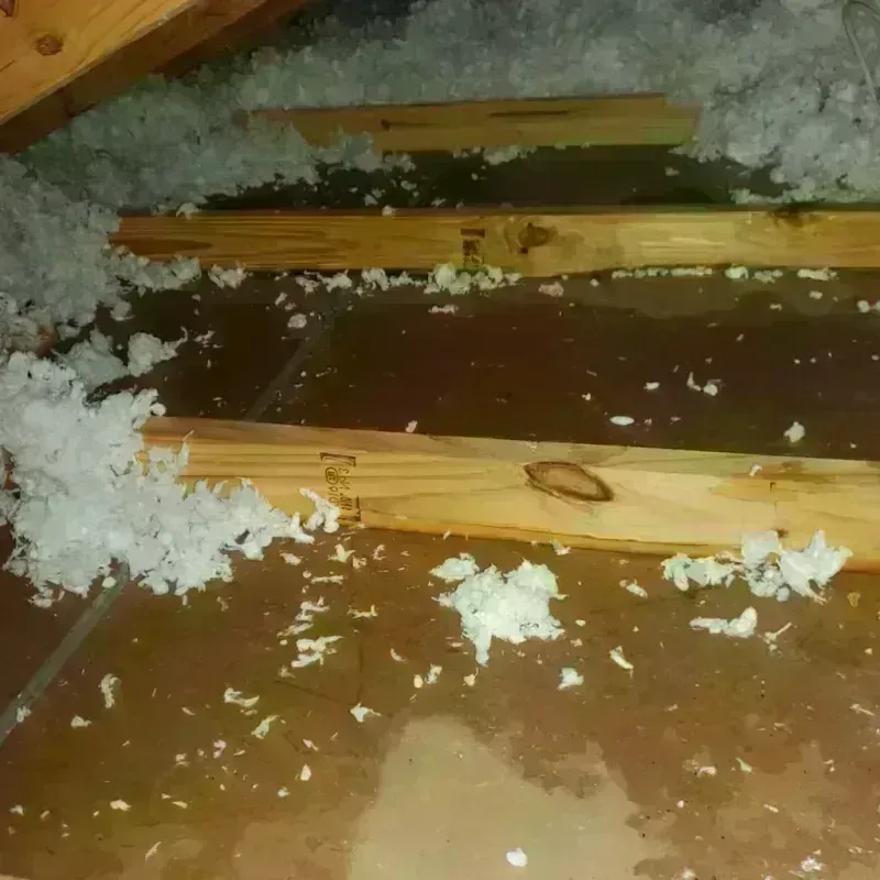 Attic Water Damage in White House, TN